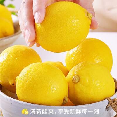 【旗舰店】uncle lemon 四川特产安岳新鲜柠檬 20个（单果重量80g左右）