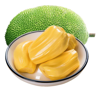 南业果 海南老树黄肉菠萝蜜 25-30斤