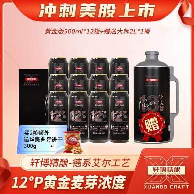 轩博精酿啤酒 春日畅享 德系扎啤 500mL 12罐 送2L大师