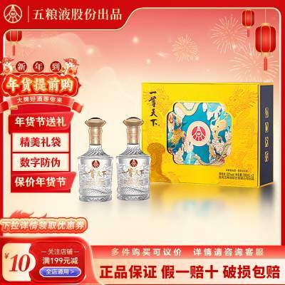 【到手169！旗舰店】五粮液 一尊天下52度浓香型白酒 500mL*2瓶 龙年礼盒