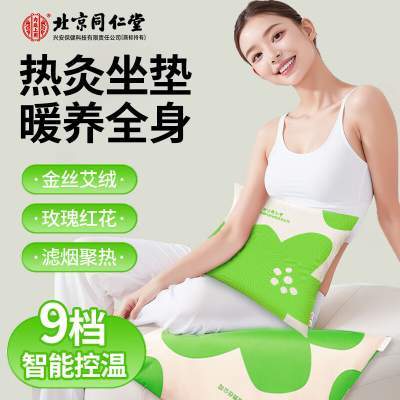 北京同仁堂 暖养全身 艾草电热垫