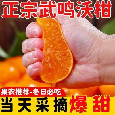 【实付14.9】遇见悯农 广西武鸣老树沃柑 净重4.5斤（中果100g起）