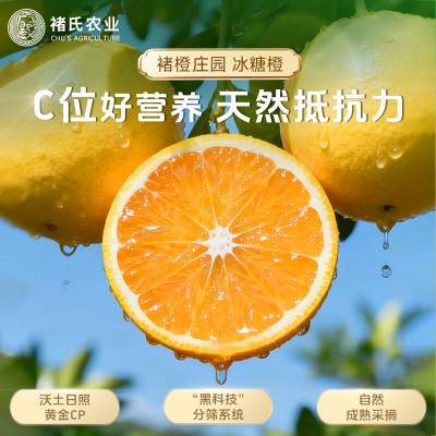 正宗云南冰糖橙 褚橙庄园 整箱新鲜水果当季送礼褚时健珍品礼盒