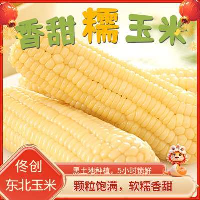 佟创 东北白糯玉米 4.5斤6-8棒280g+