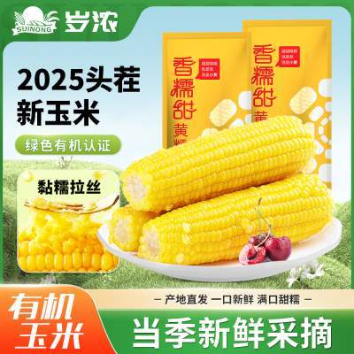 岁浓东北糯甜黄玉米有机甜糯玉米新鲜糯玉米真空包装大棒代餐低脂