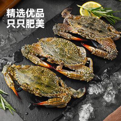 【到手46.9】BOWO 进口梭子蟹 净重1.96斤1.6-2两/只（全公蟹9-12只）
